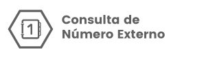 ConsultaNumeroExterno